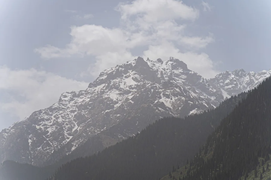 НЕ на главной